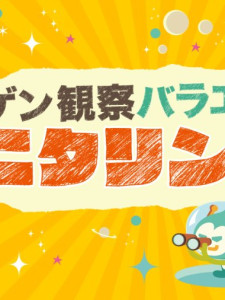 Ningen Kansatsu Variety Monitoring (2012)
