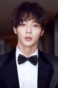 Li Junchen