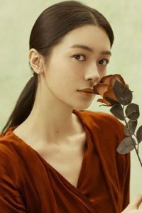 Wang Mengqi