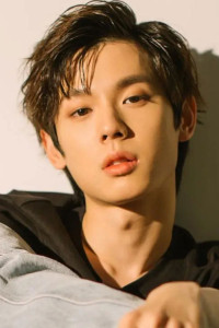 Jing Yanjun