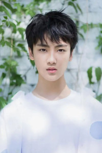 Bian Cheng