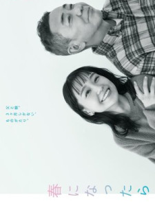 Haru ni Nattara (2024)