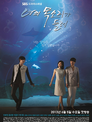 I Hear Your Voice (2013) I Hear Your Voice (2013)