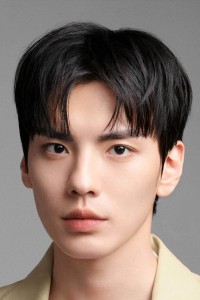 Bi Wenjun