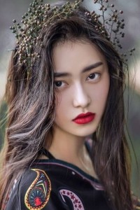 Wang Ruoshan