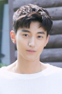 Wang Youjun