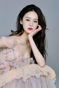 Lin Chenyi