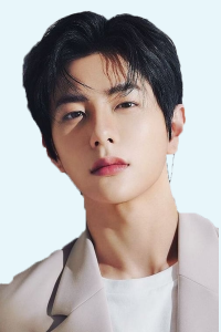 Choi Bo Min