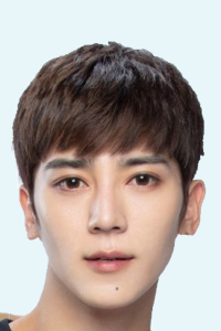 Bi Shu Jin